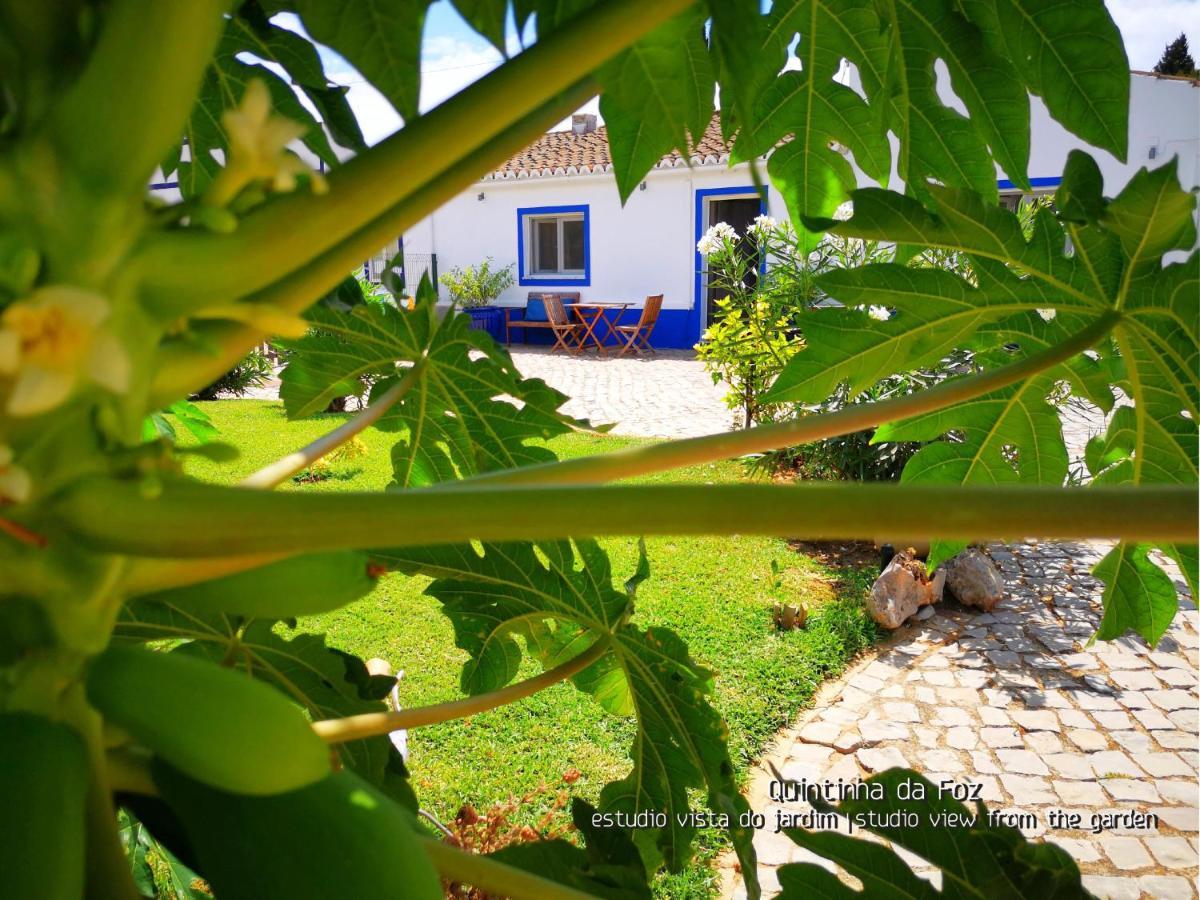 Quintinha da Foz Guest House Sao Pedro  Exterior foto